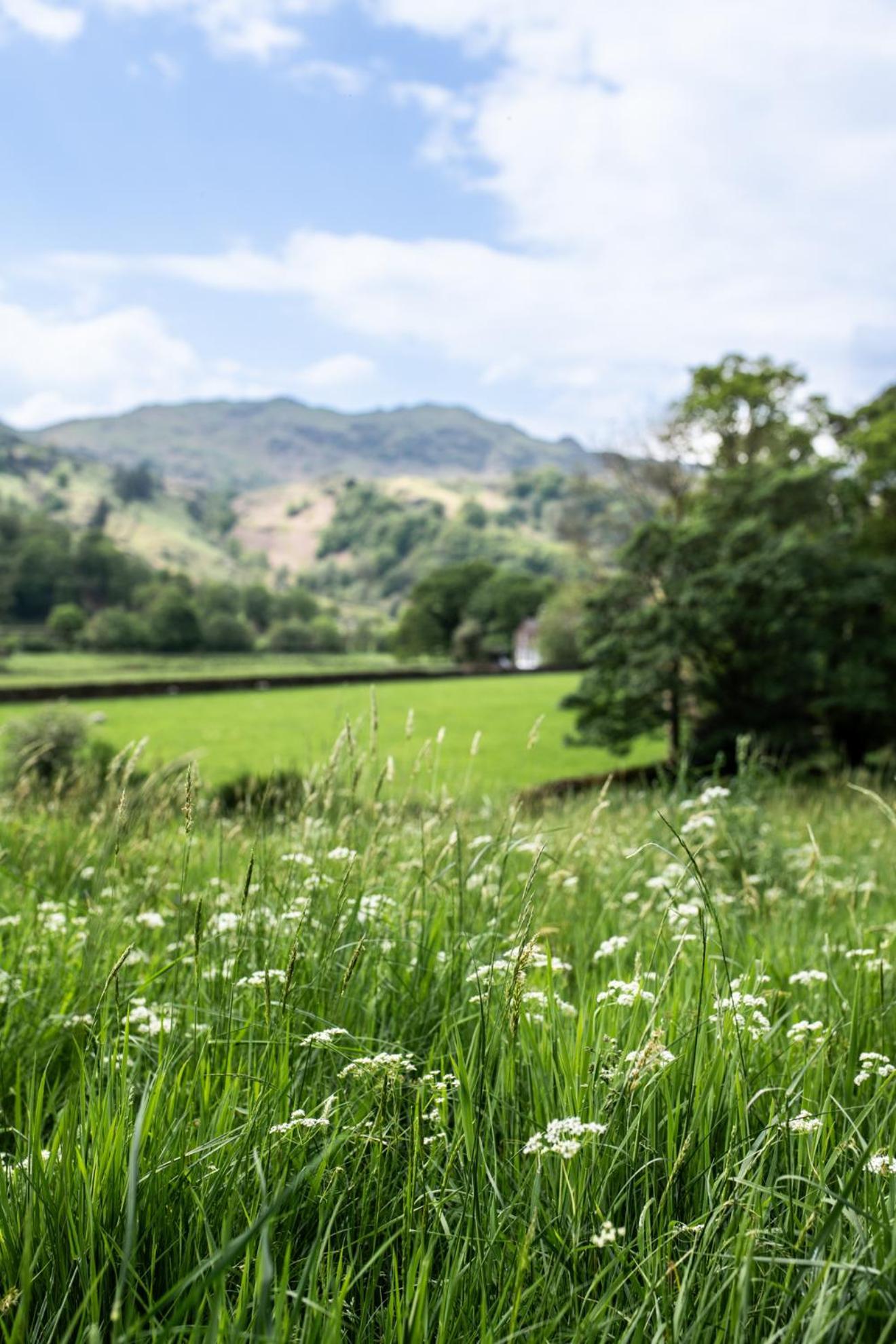 Hotel Lancrigg Grasmere